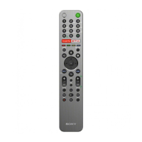 Preview: Sony RMF-TX600E