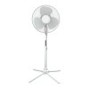 Fan Logo