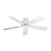 Fan Logo