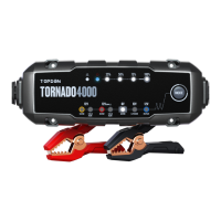 Preview: Topdon Tornado4000