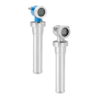 Preview: Endress+Hauser Gammapilot FMG50
