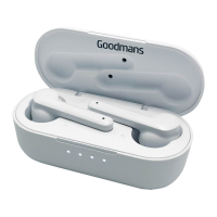 Preview: Goodmans 364431