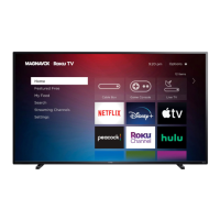 Preview: Magnavox 65MV379R