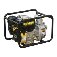 Preview: Champion Power Equipment C44025