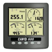 Preview: Yanmar CANplus 600