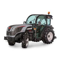 Preview: CARRARO COMPACT Vigneto
