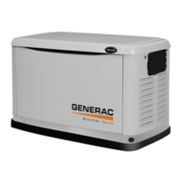 Preview: Generac Power Systems 0064390
