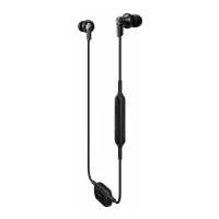 Preview: Panasonic RP-NJ300B