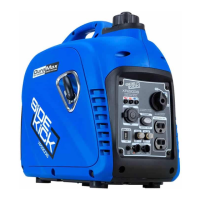Preview: SIDE KICK DUAL FUEL XP2200IS