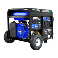 Preview: DUROMAX DUAL FUEL XP13000DX