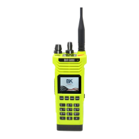 Preview: BK TECHNOLOGIES BKR5000