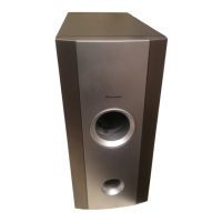 Preview: Pioneer S-DV77