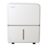 Preview: Toshiba TDDP2213ES2C