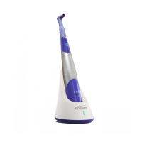 Preview: Pac-Dent PROMATE CL