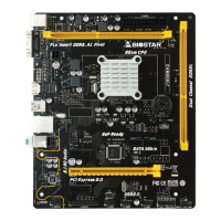 Preview: Biostar J1800MH2