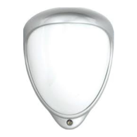Preview: GJD Mini Opal