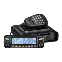 Preview: Yaesu FTM-100DR/DE