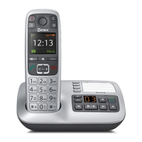 Preview: Gigaset WIDEX W570