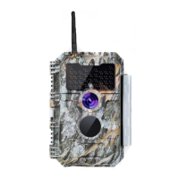 Preview: BlazeVideo W600