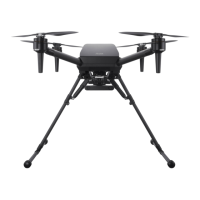 Preview: Sony Airpeak S1