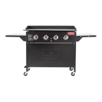 Preview: Outdoor Gourmet 157969