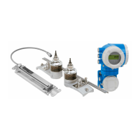 Preview: Proline Prosonic Flow P 500