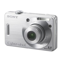 Preview: Sony Cybershot DSC-W50