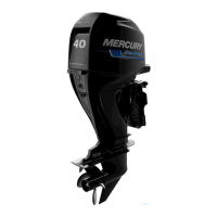 Preview: Mercury 40 SeaPro