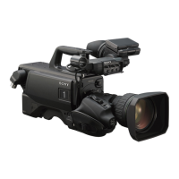 Preview: Sony HDC3100