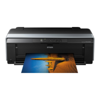 Preview: Epson Stylus Photo R2000 Series