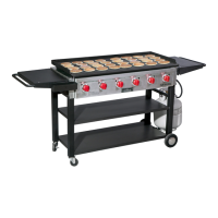 Preview: Camp Chef FTG900-2
