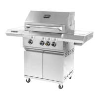 Preview: Victory BBQ-VCT3BSB-LP