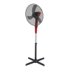 Fan Logo