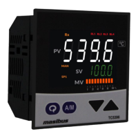 Preview: Masibus TC 5396