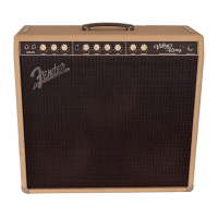 Preview: Fender Vibro King