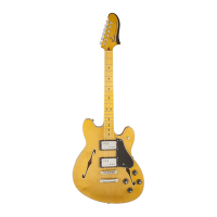 Preview: Fender Starcaster