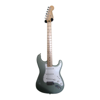 Preview: Fender Stratocaster