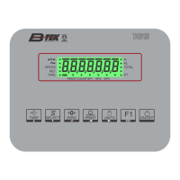 Preview: BTEK T401S
