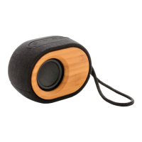 Preview: XD XCLUSIVE Bamboo X speaker