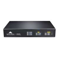 Preview: New Rock Technologies OM20G