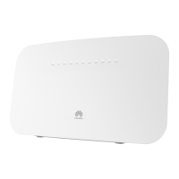 Preview: Huawei DN8245