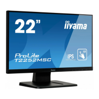 Preview: Iiyama ProLite T2252MSC