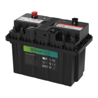 Preview: Pylon Technologies RT12100G31