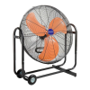 Fan Logo