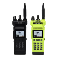Preview: BK TECHNOLOGIES BKR 5000