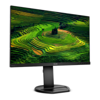 Preview: Philips Brilliance 241B8