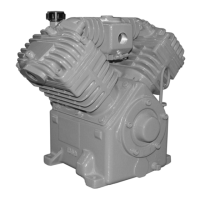 Preview: American Eagle V230