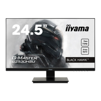 Preview: Iiyama G-MASTER G2530HSU