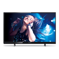Preview: Magnavox 50MV336X