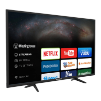 Preview: Westinghouse WE55UDT108